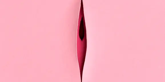 labiaplastika